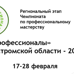Афиша: Региональный этап Чемпионата по профессиональному мастерству «Профессионалы» Костромской области -